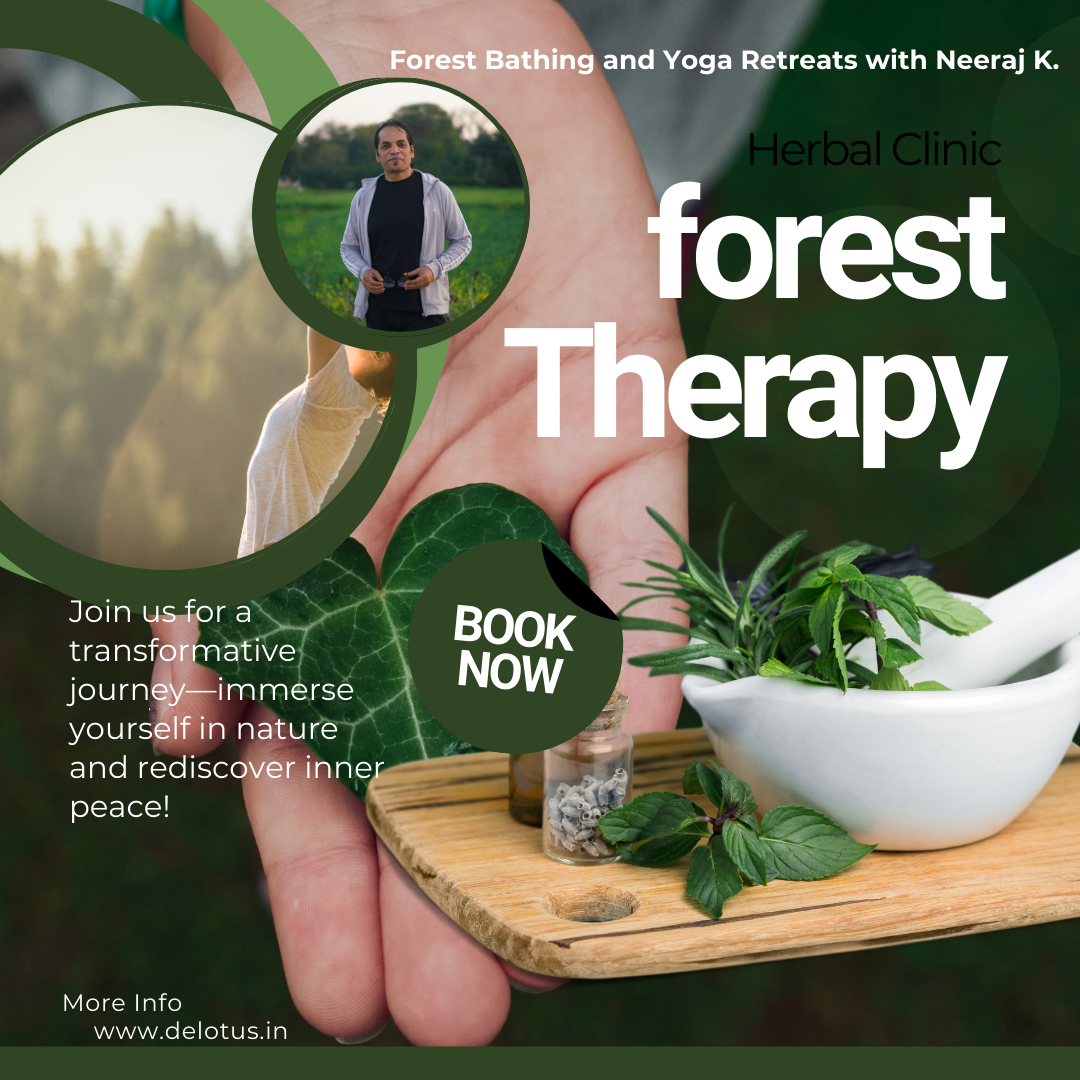 The Mental and Emotional Benefits of Practicing Forest Bathing
